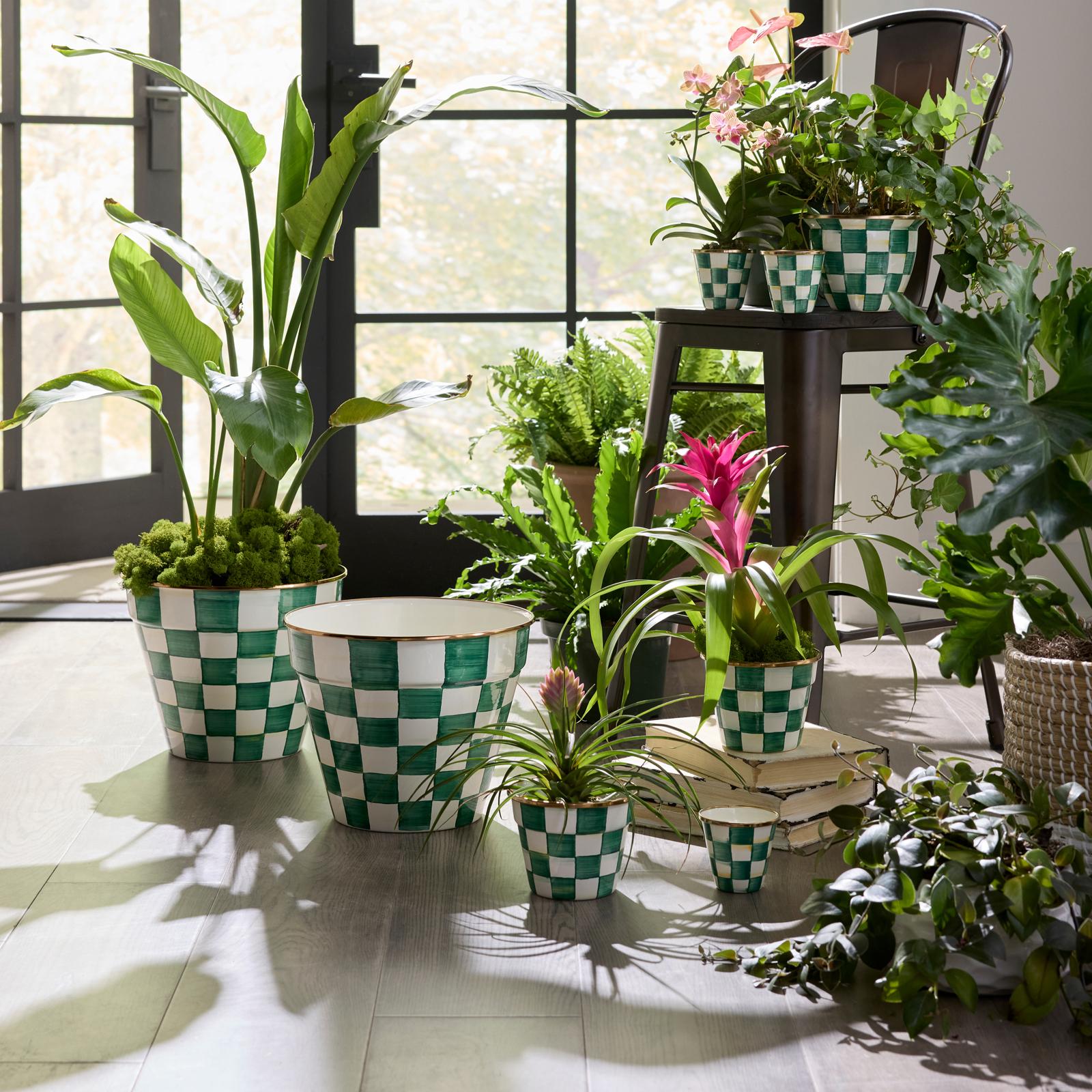 MacKenzie-Childs, Emerald Check Home Collection | Zola