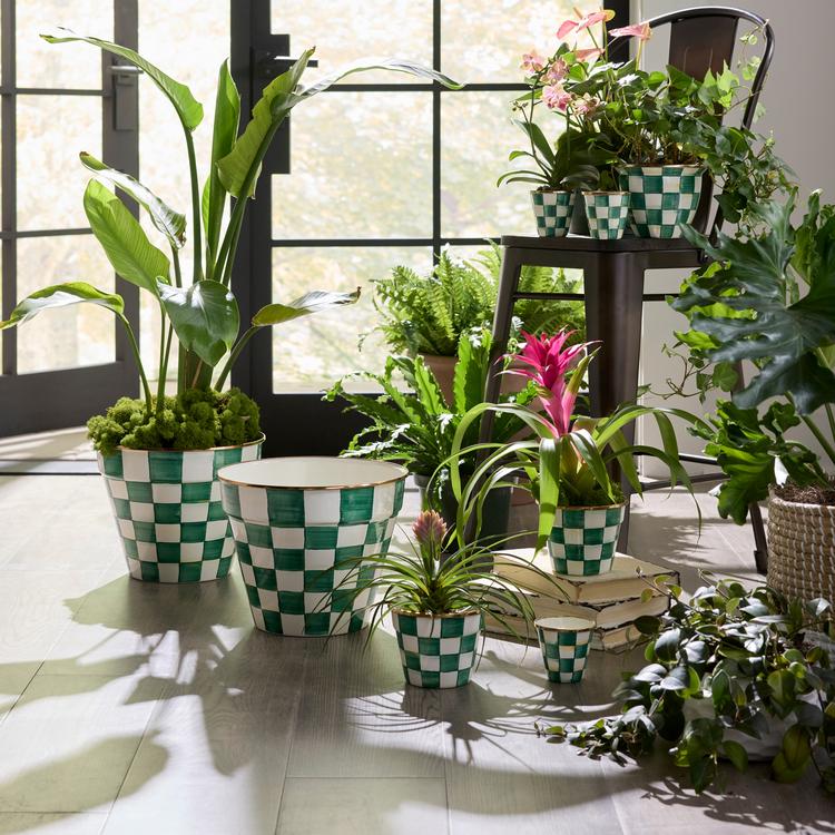 MacKenzie-Childs, Emerald Check Home Collection | Zola